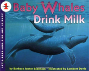 Baby whales drink milk