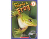 Scholastic Reader (L1): From Tadpole to Frog - Click Image to Close