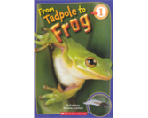 Scholastic Reader (L1): From Tadpole to Frog